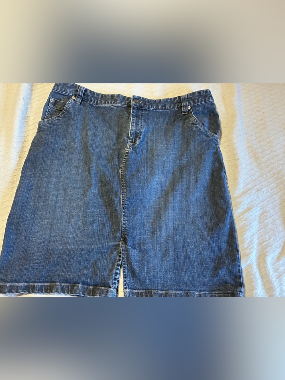 Style & Co Jean Skirt
